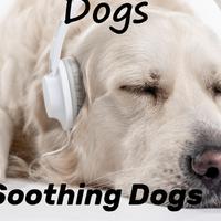 Soothing Dogs