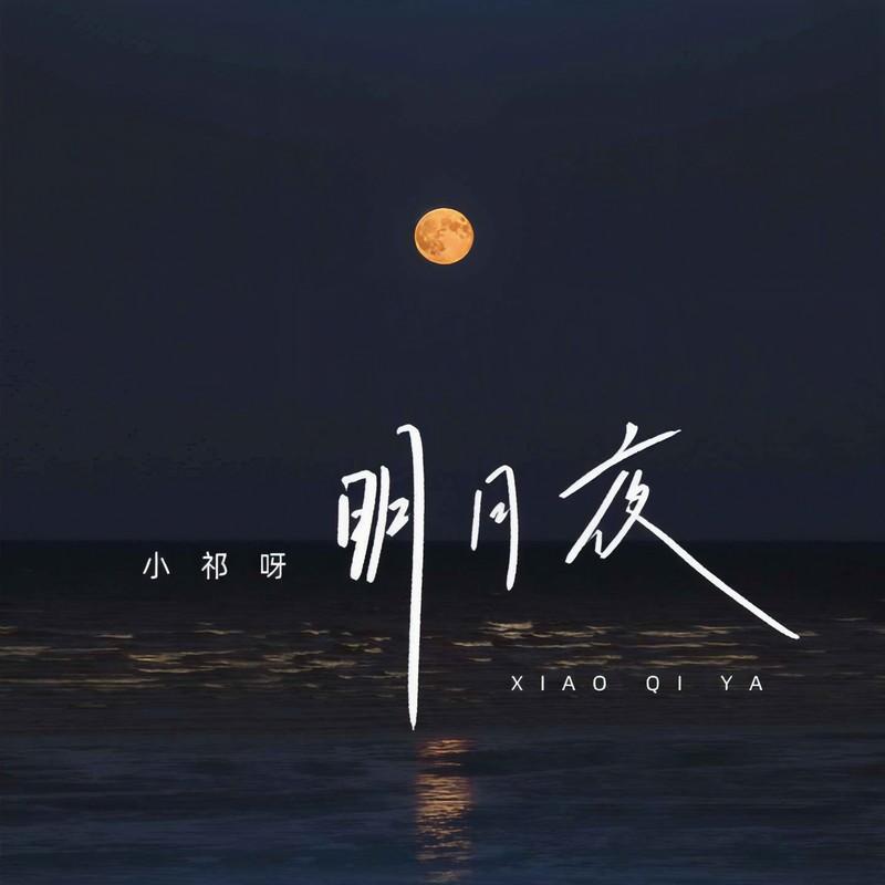 明月夜 (DJ默涵版)封面