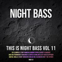 This is Night Bass: Vol. 11