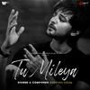 Darshan Raval - Tu Mileya