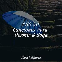 #50 50 Canciones Para Dormir & Yoga