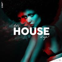 Let's House It Up, Vol. 36