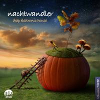 Nachtwandler Vol. 3 - Deep Electronic House