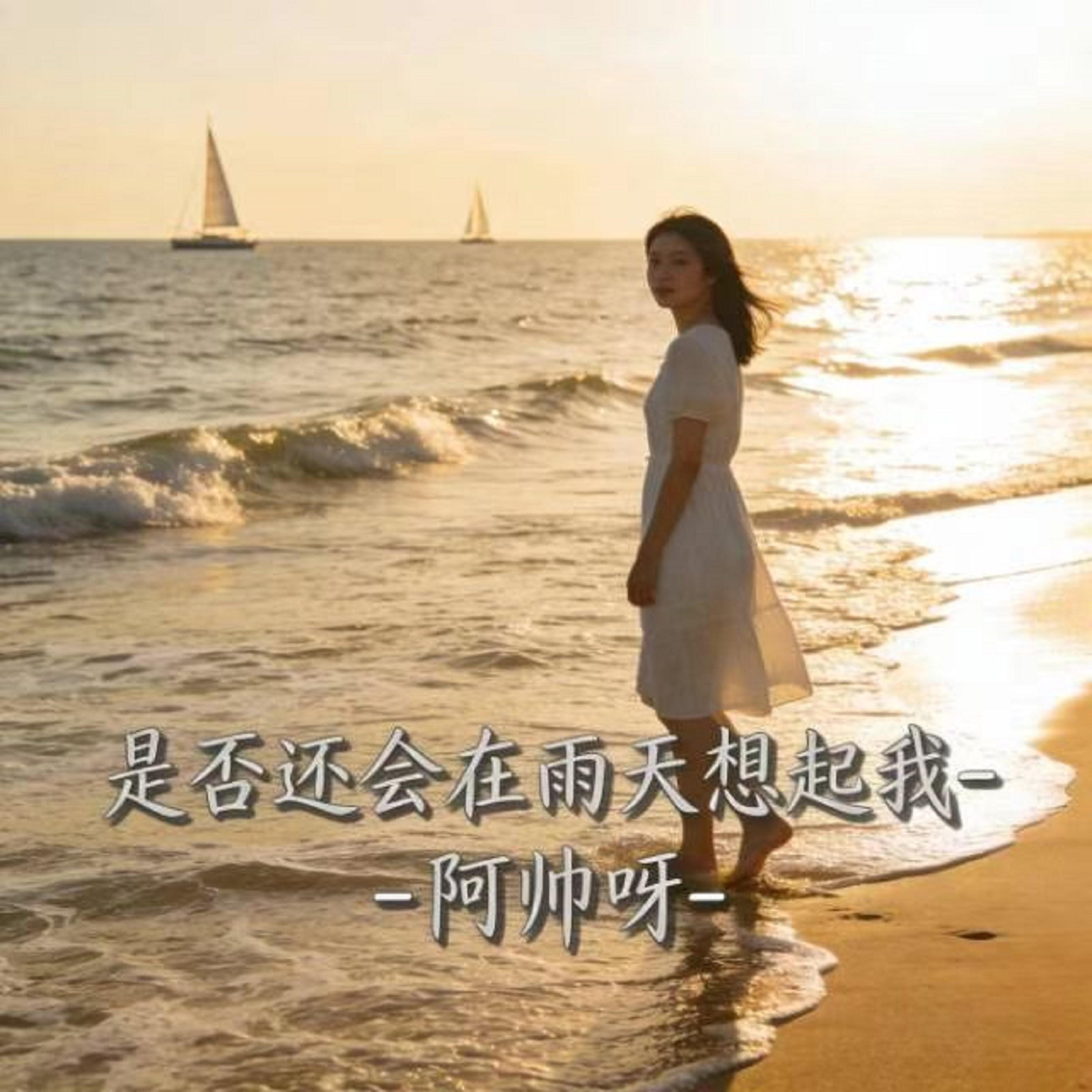 是否还会在雨天想起我 (烟嗓版)封面
