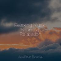 Relaxing Music Sounds | Relaxation