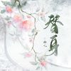 平纱落雁音乐团队 - 替身