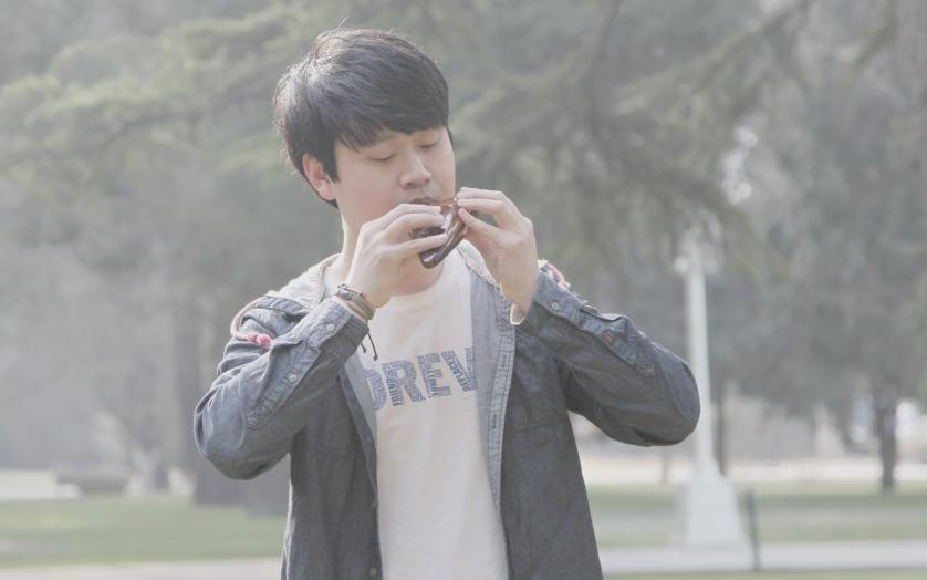 叶光照