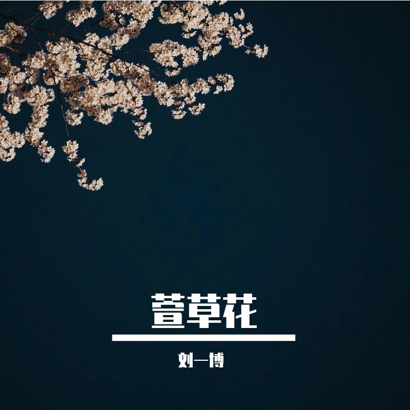 萱草花封面