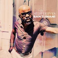 Meditatives (The Chillout Perspectives)