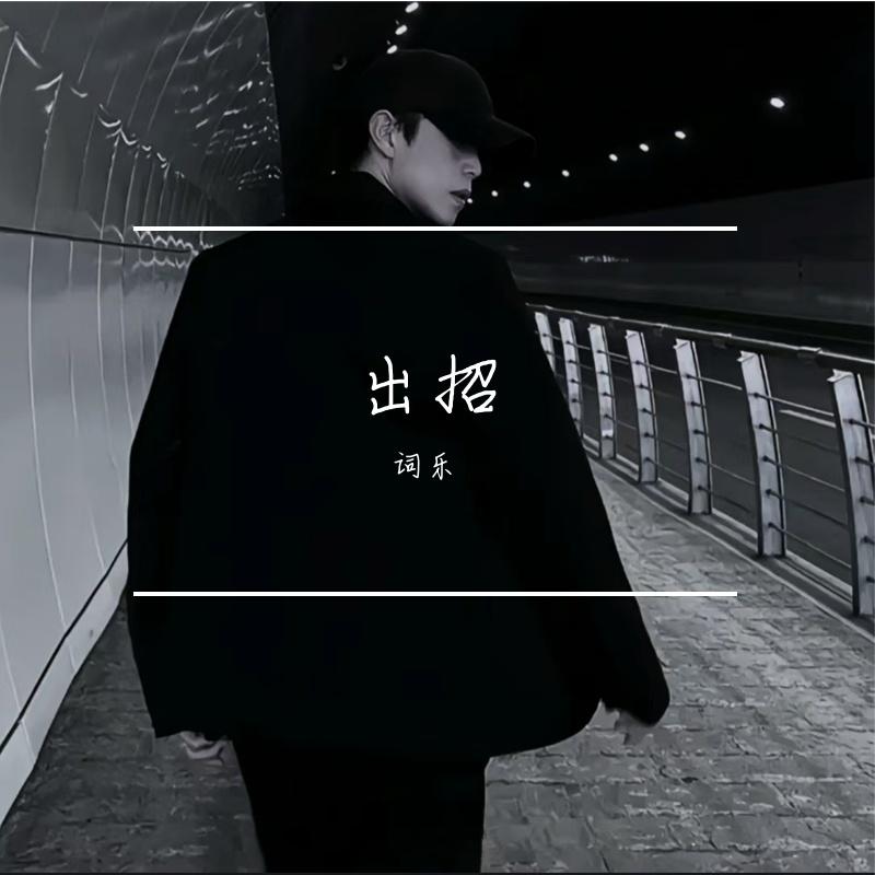 英雄出我辈封面