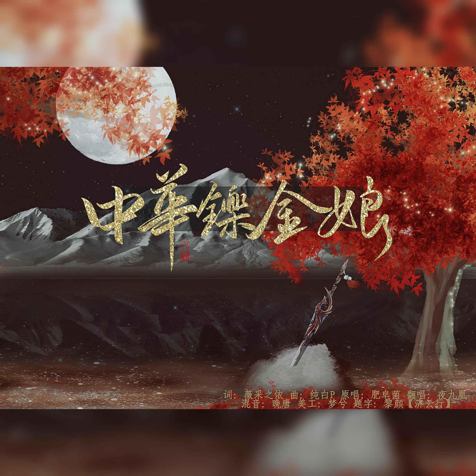 中华铄金娘 - 夜九凰封面