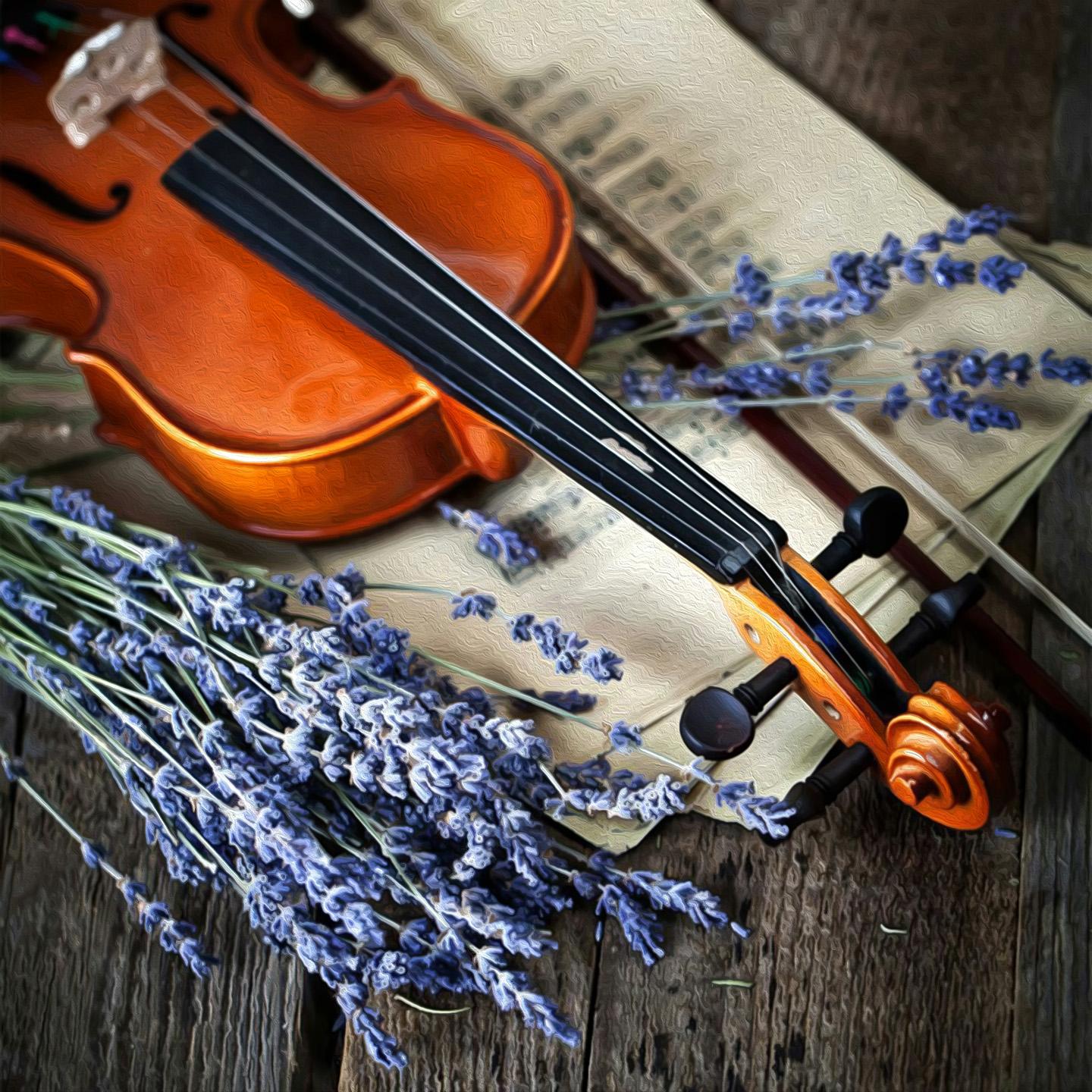 科马洛夫斯基 E小调小提琴协奏曲第一乐章