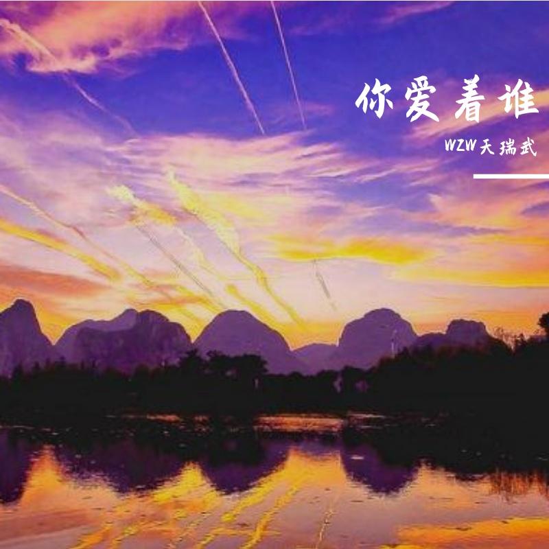 风中的微笑封面