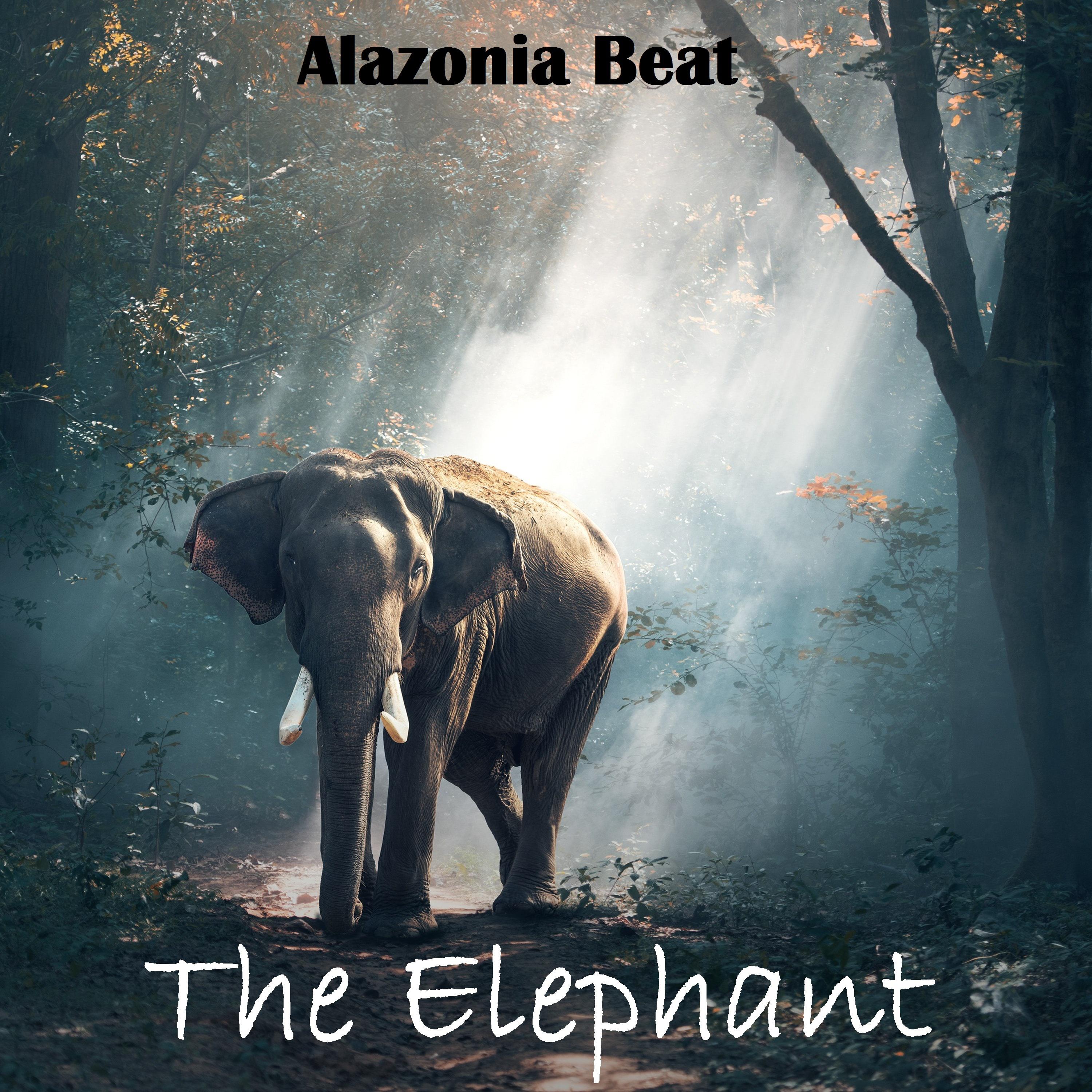 the elephant