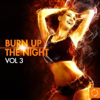 Burn up the Night, Vol. 3