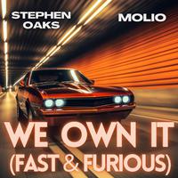 WE OWN IT (FAST & FURIOUS)