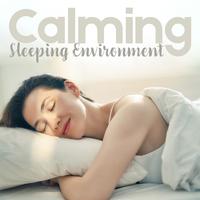 Calming Sleeping Environment