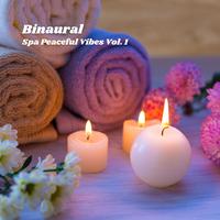 Binaural: Spa Peaceful Vibes Vol. 1