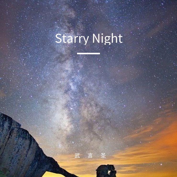 唐刀在野_武言圣_Starry Night | 在线播放_唐刀在野歌词_唐刀在野下载 | 网易云音乐