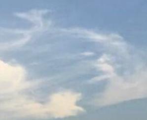 特仑苏头像