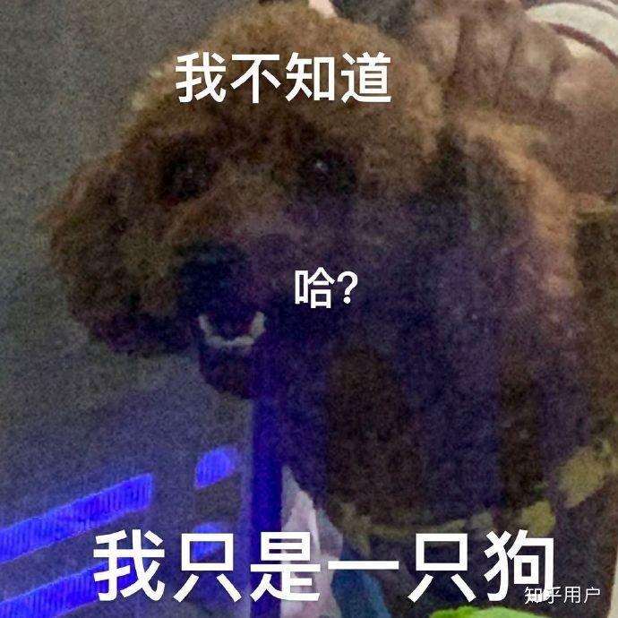 荒原狼__