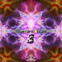 Shamanic Tribes Vol. 3 Compiled by Agent Kritsek