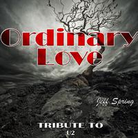 Ordinary Love: Tribute to U2