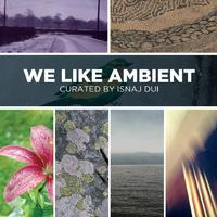 We Like Ambient / Curated by Isnaj Dui