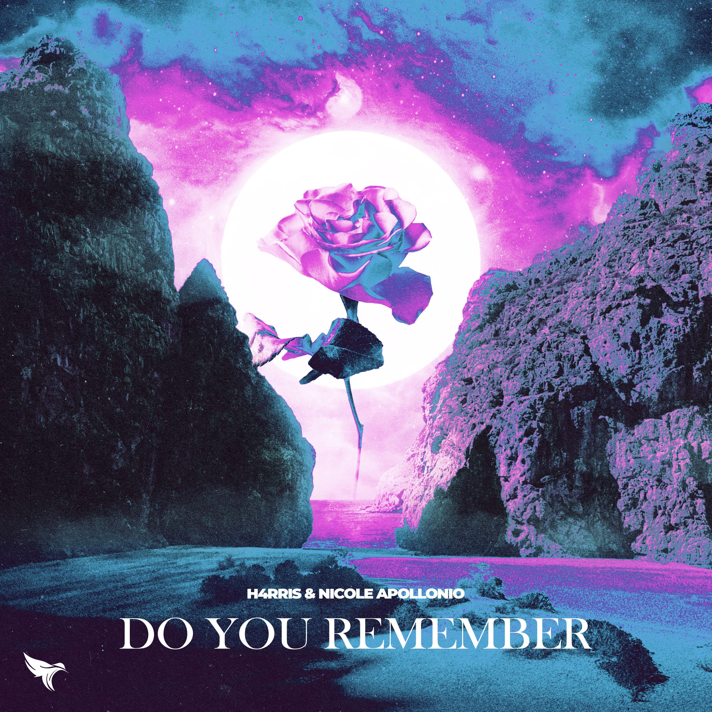 Do You Remember (Aaron Shirk Remix)