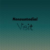 Noncustodial Visit