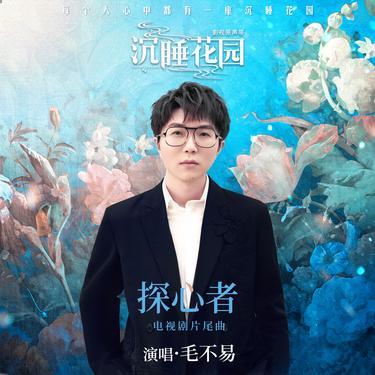 探心者封面