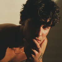 Shawn Mendes资料,Shawn Mendes最新歌曲,Shawn MendesMV视频,Shawn Mendes音乐专辑,Shawn Mendes好听的歌