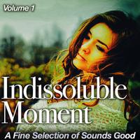 Indissoluble Moment, Vol. 1 (A Fine Selection of Sounds Good)