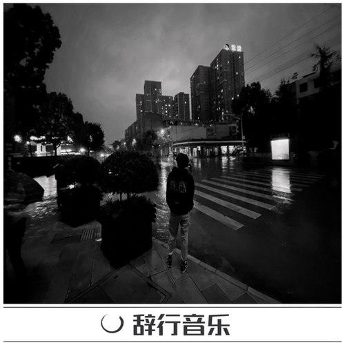 星星无法得到爱火(DJ版)封面