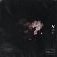 Sanctuary (feat. meluda) [Remix]