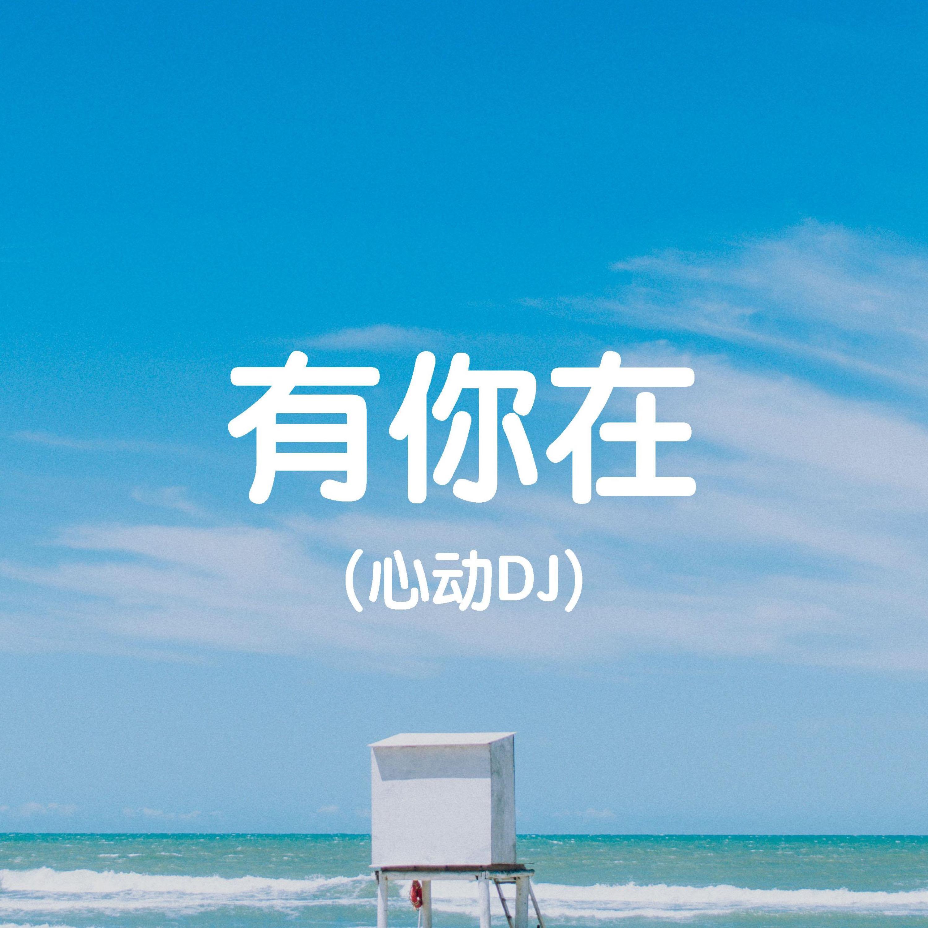 有你在 (心动DJ)封面
