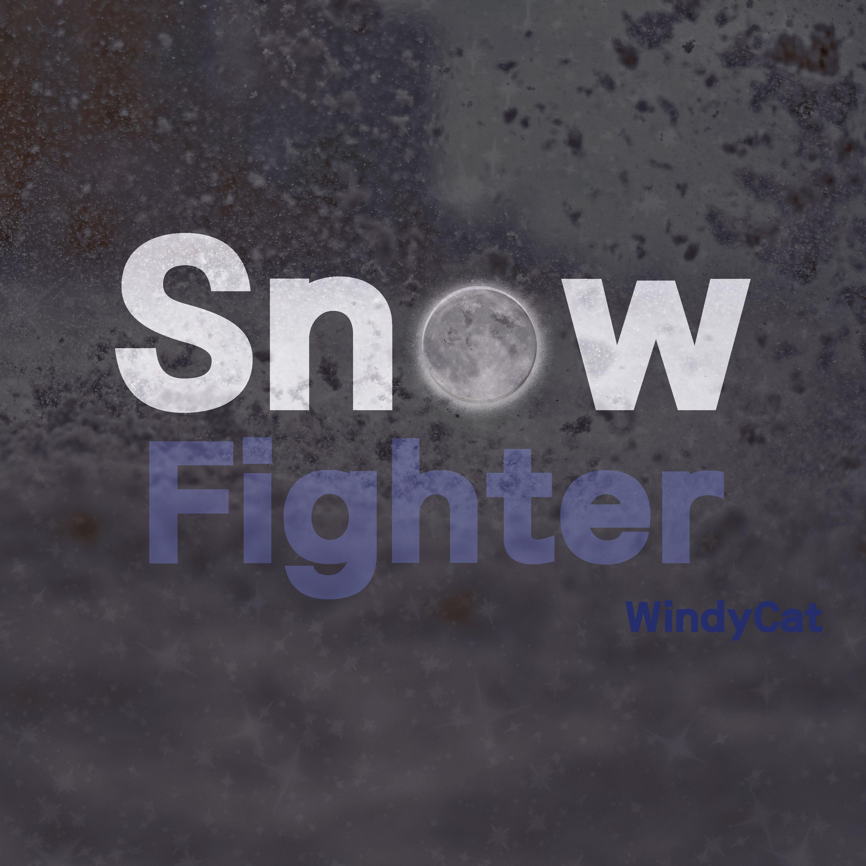 Snow Fighter