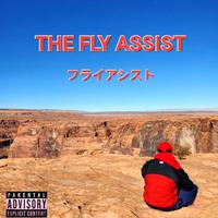 THE FLY ASSIST