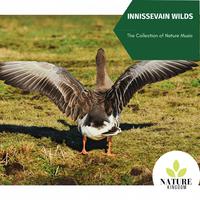 Innissevain Wilds - The Collection of Nature Music