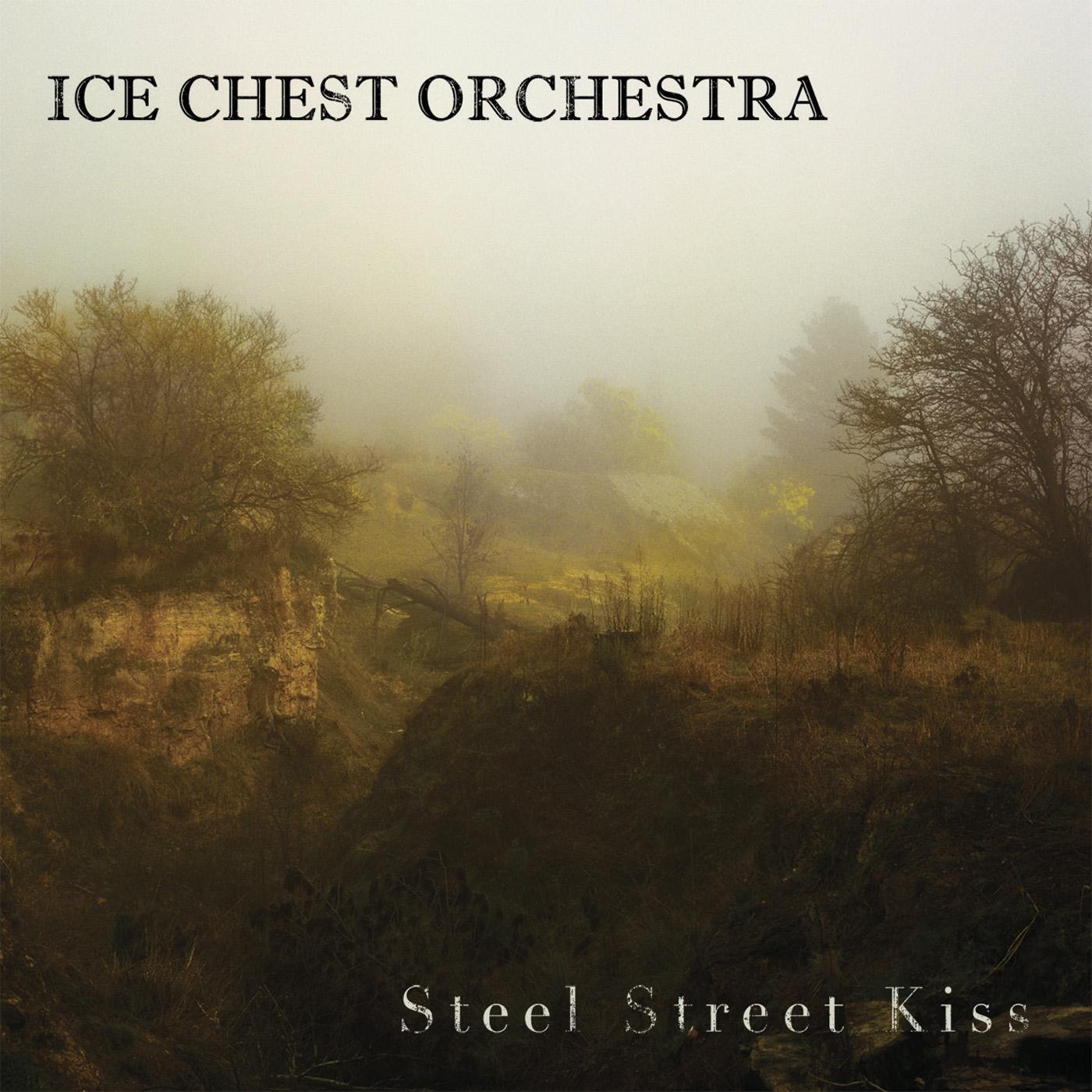 Pins & Needles Ice Chest Orchestra 单曲 网易云音乐