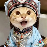 书亦 - 泰曼波(1.0x)