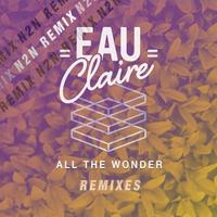 All The Wonder ( Remixes)