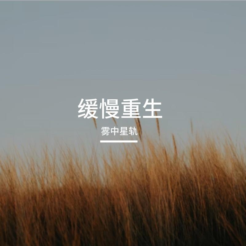 天使的答案——献给嫣然天使儿童医院及其守护的每一个生命封面