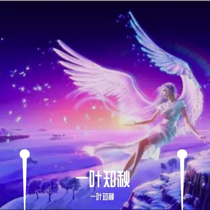 一叶知秋封面