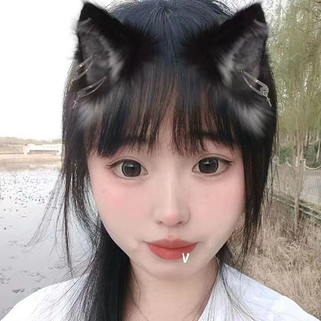 携手闯梦封面