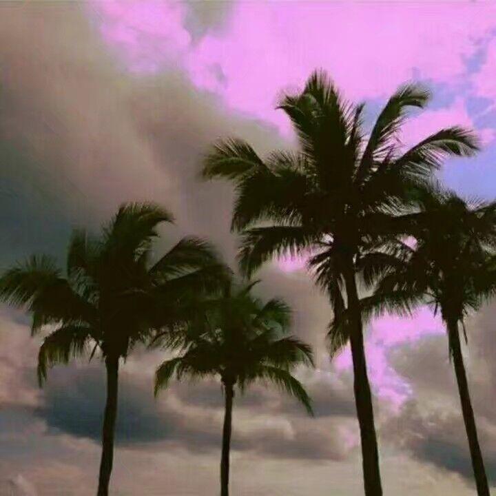 一个歌手的情书封面