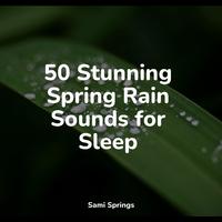 50 Stunning Spring Rain Sounds for Sleep