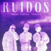 Ruidos