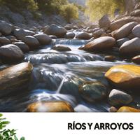 Sonidos del río y música: La Armonía del Agua