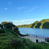 阿晨资料,阿晨最新歌曲,阿晨MV视频,阿晨音乐专辑,阿晨好听的歌